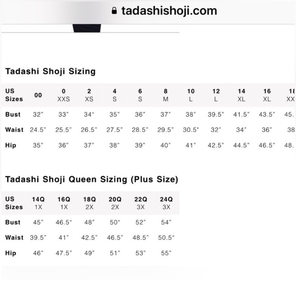 Tadashi Shoji Fit and Flare Black/Blush Stretch Lace Dress Sz 14 - Picture 8 of 8